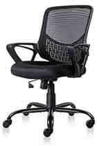 Ergonomic-Office-Chair-Lumbar-Support-Mesh-Chair-Computer-Desk-Task-Chair-with-Armrests Ergonomic-Office-Chair-Lumbar-Support-Mesh-Chair-Computer-Desk-Task-Chair-with-Armrests
